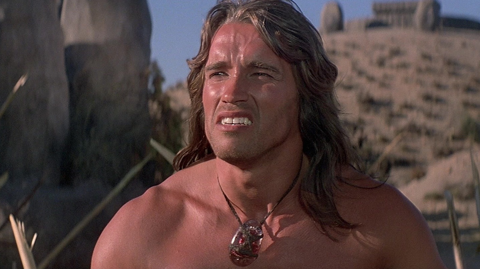 Arnold Schwarzenegger quase estrelou um ambicioso filme de piratas [Exclusive]